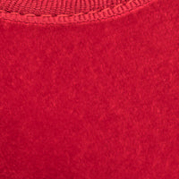 Close-up of soft red velvet fabric texture on a child's Mary Jane shoe.