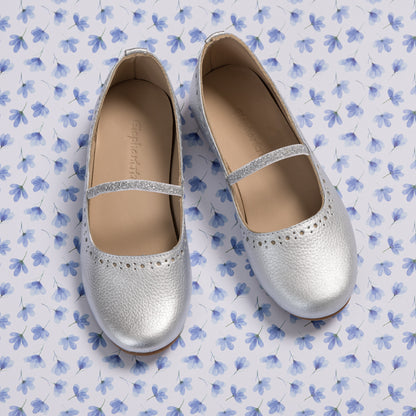 Sasha Ballerina Flat Silver