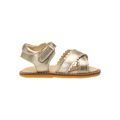 Elephantito - Toddler sandal in metallic gold with scalloped leather straps and Velcro ankle closure.